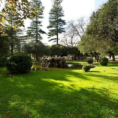 Boutique Rentals- Sea Breeze Apartman